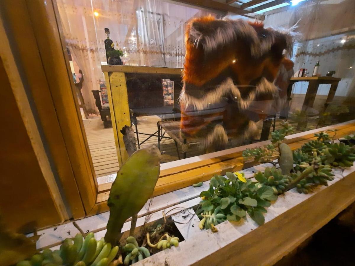 Pousada Vitrine Cambará エクステリア 写真